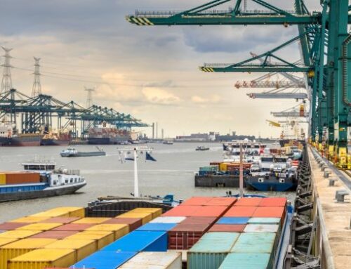 WEF: Future of ports hinges on climate resilience and sustainable transformation